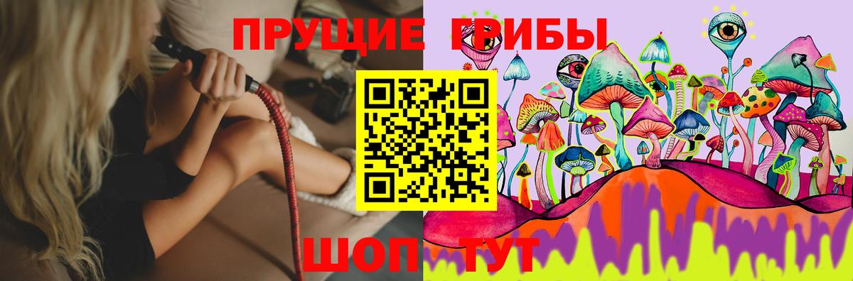 Псилоцибиновые грибы Psilocybine cubensis  Вход с VPN  Карпинск 